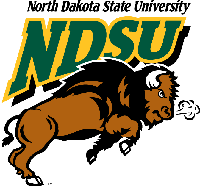 North Dakota State Bison 2005-2011 Primary Logo iron on paper